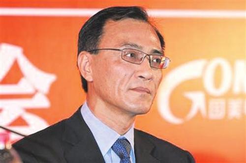 杜鹃回归国美股价涨 陈晓退出最好结局?